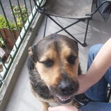 Foto van Claudia & Tank