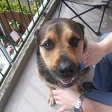Foto van Claudia & Tank