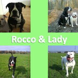 Bewerkt Rocco en Lady