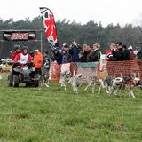 start van de 8-honden klasse, bij de peel&maaschallenge 2011 2de…