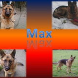 Bewerkt: Max