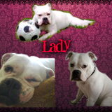 Foto van Melissa---Rocco&Lady