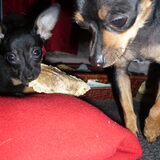 mini en maxi