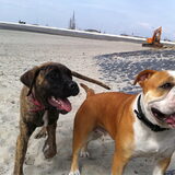 DonJa en Luna @ strand