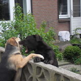 Foto van Angelique & Doenja