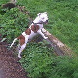 poseren:)