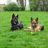 Foto van Yvonne - Brisca & Tarek