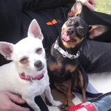 Foto van Jantina, Laila & Luna