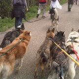 zeg Zena.. wat loop jij knus tussen lexa en hobbit..