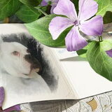 Lady. Voor Melissa.
