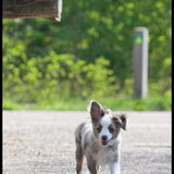 Foto van Hetty & Skipper