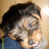 en maar happen he
