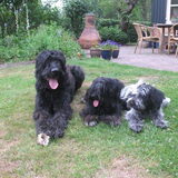 Foto van Cynthia&Bowie.