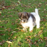 Foto van Jacqy & Izzy