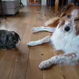Samen met Lola