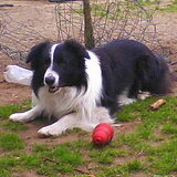 Foto van Charissa