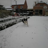Foto van Charissa