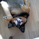 aaahh