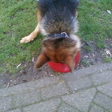OOPS, Bal laten valleenn!