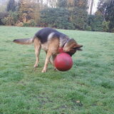 schudden met die bal!