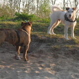 Zaz&Jack