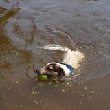 Heeeeee, wat is daar.