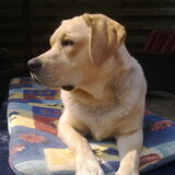 Foto van Ina en Boris