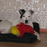 met me nieuwe knuffel