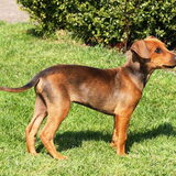 kody