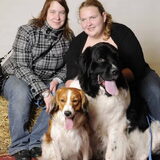 foto's hart voor dieren animal event