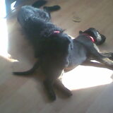 Aren't they cute? Al duurde het maar 2 min ofzo ;)