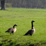 Foto van Dobry