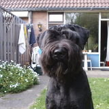 Foto van Marianne v. B.