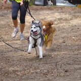 Foto van Shamilla & Zena