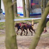 Foto van Shamilla & Zena