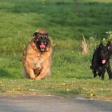 Foto van team Shadow