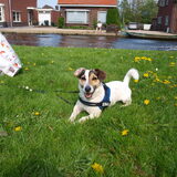 Mooierd.