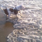 in de zee