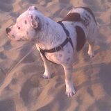 spannend.?