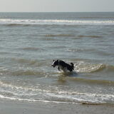 Foto van Anja en Dirk
