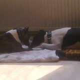 kijk ze nou lief liggen samen