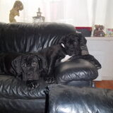 samen met zn zusje