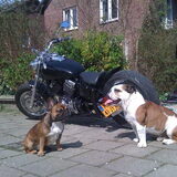 Samen stoer doen met mijn beste vriendinnetje Siep.
