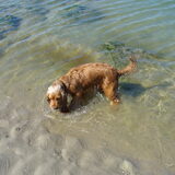 zalig pootje baden
