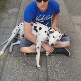 Foto van Monia x Darco x Nina