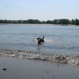 Ver in het water