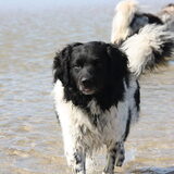 Dit is Jelle