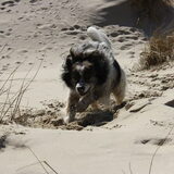 Dit is Bijke
