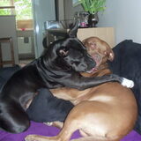 Foto van Amanda *Diablo & Lana