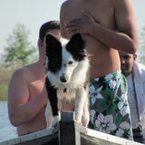 Foto van Amigo en K.C.